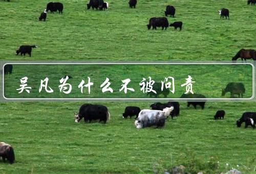 吴凡为什么不被问责