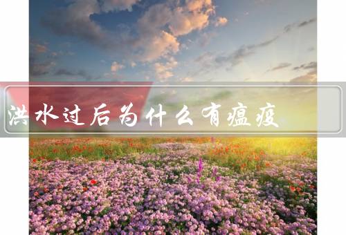 洪水过后为什么有瘟疫