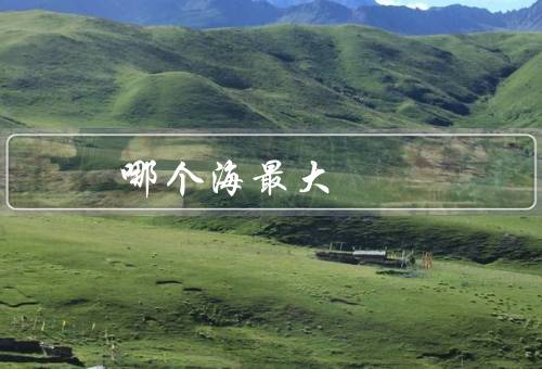 哪个海最大