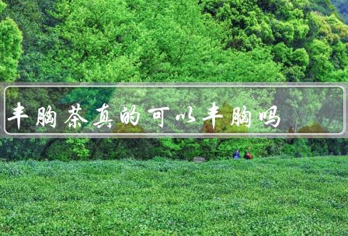 丰胸茶真的可以丰胸吗