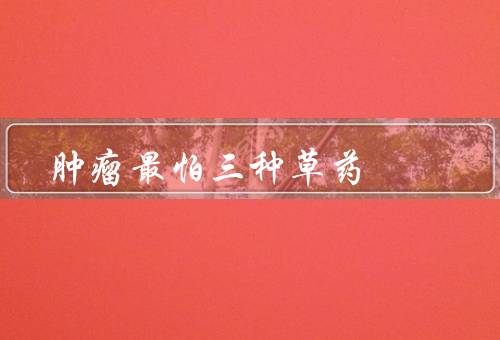 肿瘤最怕三种草药
