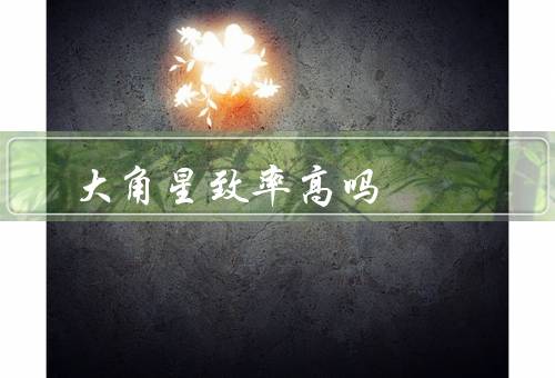 大角星致率高吗