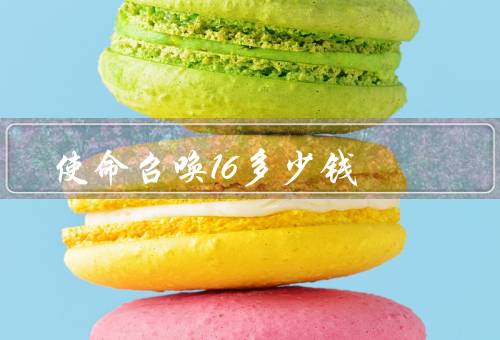 使命召唤16多少钱