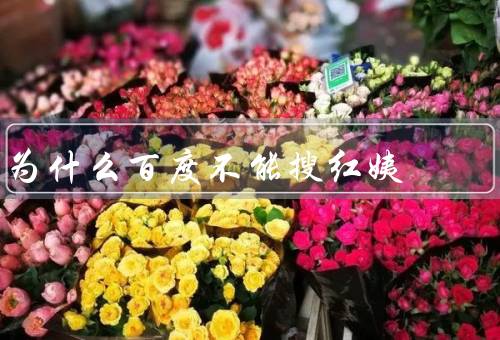为什么百度不能搜红姨