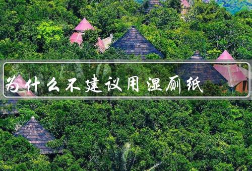 为什么不建议用湿厕纸