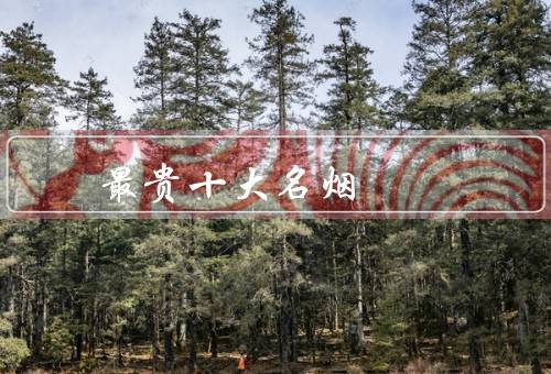 最贵十大名烟