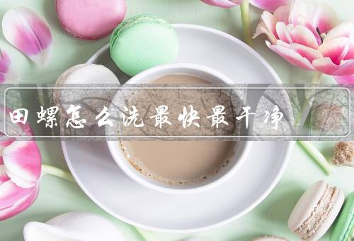 田螺怎么洗最快最干净
