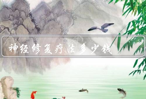 神经修复疗法多少钱