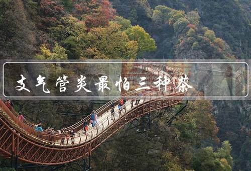 支气管炎最怕三种茶