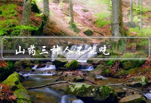 山药三种人不能吃