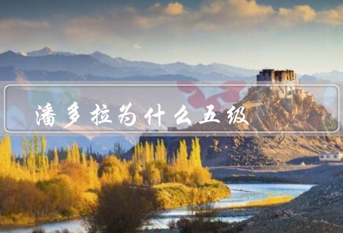 潘多拉为什么五级