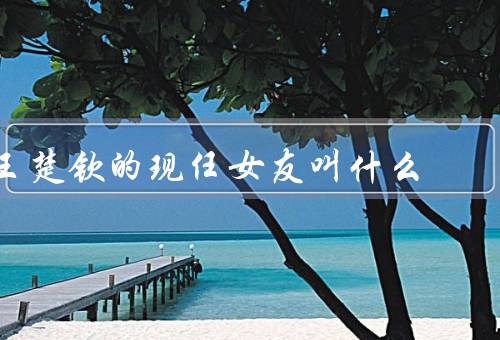 王楚钦的现任女友叫什么