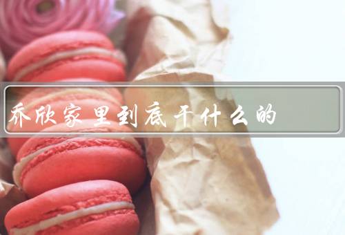 乔欣家里到底干什么的，其父母在上海经营一家外企