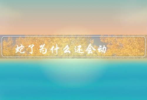 蛇了为什么还会动