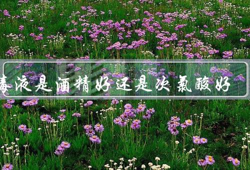 消毒液是酒精好还是次氯酸好