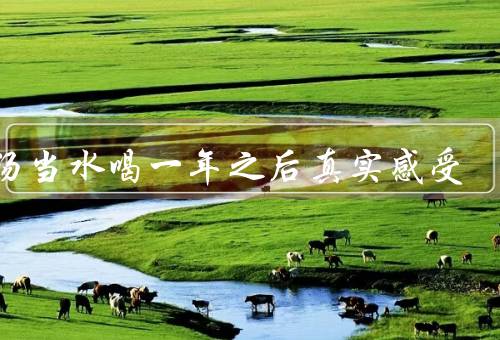 米汤当水喝一年之后真实感受