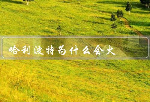 哈利波特为什么会火
