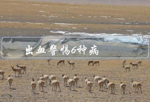 出血警惕6种病