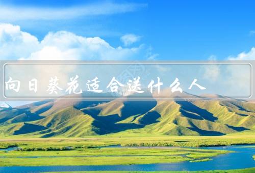 向日葵花适合送什么人