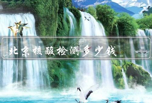 北京核酸检测多少钱