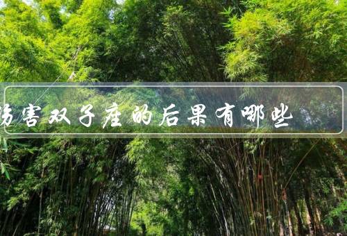 伤害双子座的后果有哪些