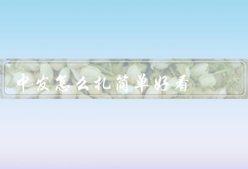 中发怎么扎简单好看