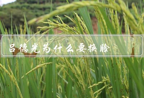 吕德光为什么要换脸