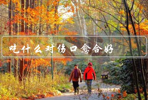 吃什么对伤口愈合好