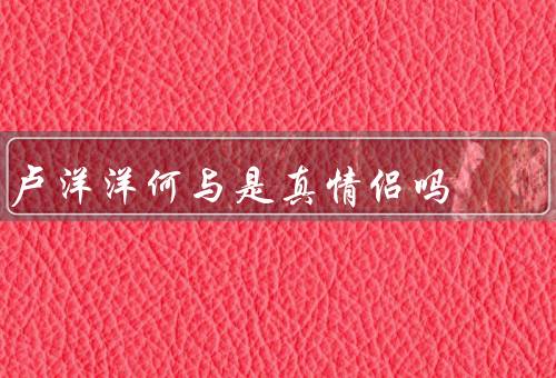 卢洋洋何与是真情侣吗