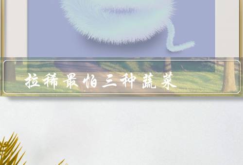 拉稀最怕三种蔬菜