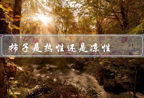 柿子是热性还是凉性