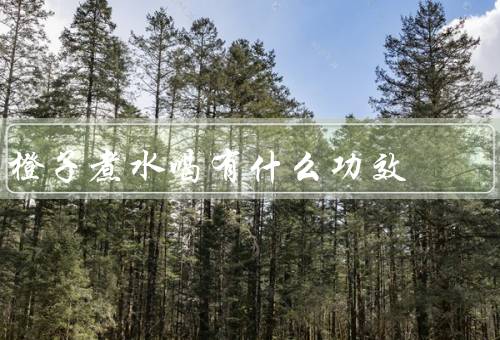 橙子煮水喝有什么功效