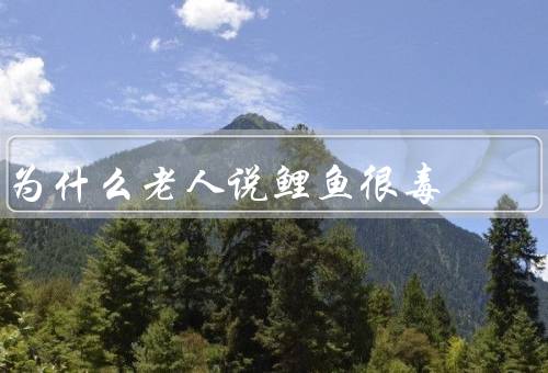 为什么老人说鲤鱼很毒