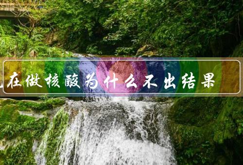 现在做核酸为什么不出结果