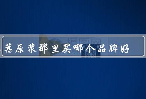 桑葚原浆那里买哪个品牌好