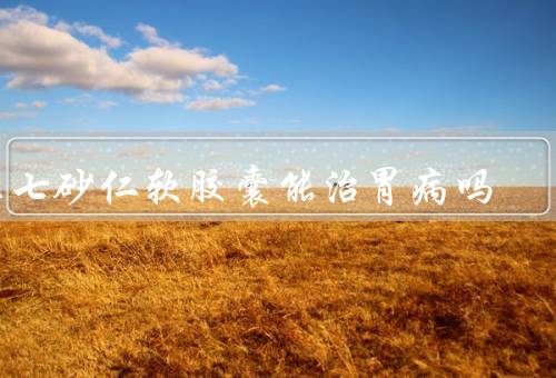 三七砂仁软胶囊能治胃病吗，可修复胃粘膜（属不能代替药）