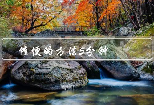 催便的方法5分钟