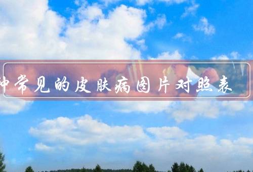 18种常见的皮肤病图片对照表