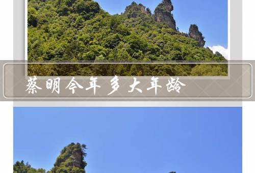 蔡明今年多大年龄