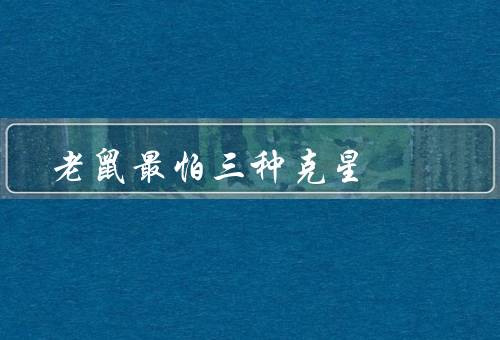 老鼠最怕三种克星
