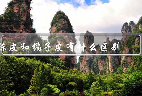 陈皮和橘子皮有什么区别