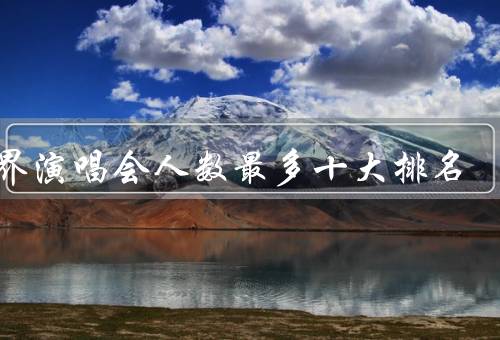 世界演唱会人数最多十大排名，Live 8