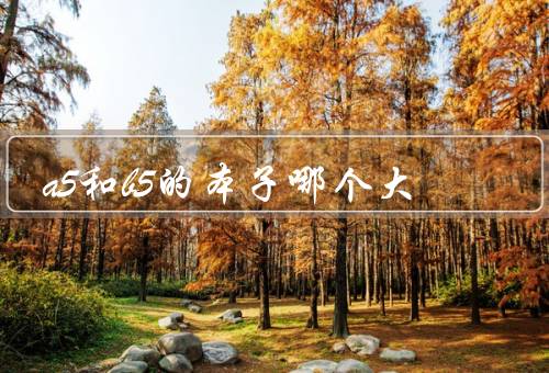 a5和b5的本子哪个大