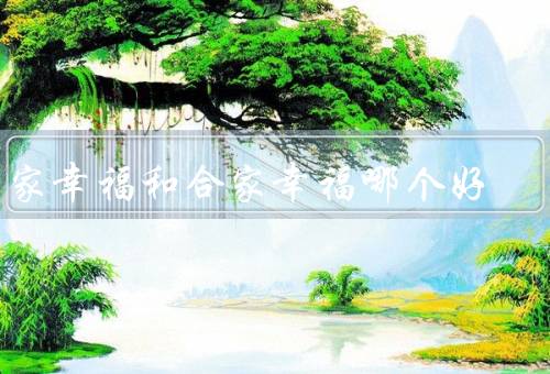 阖家幸福和合家幸福哪个好