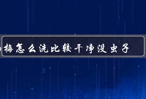 杨梅怎么洗比较干净没虫子