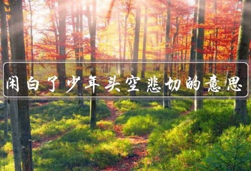 莫等闲白了少年头空悲切的意思