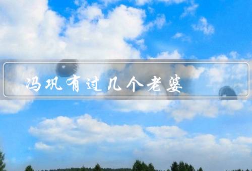 冯巩有过几个老婆，唯一的妻子艾慧是他的同学