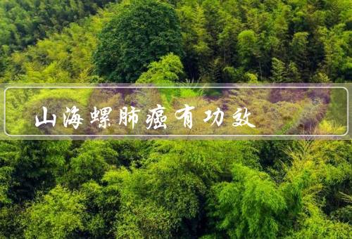 山海螺肺癌有功效