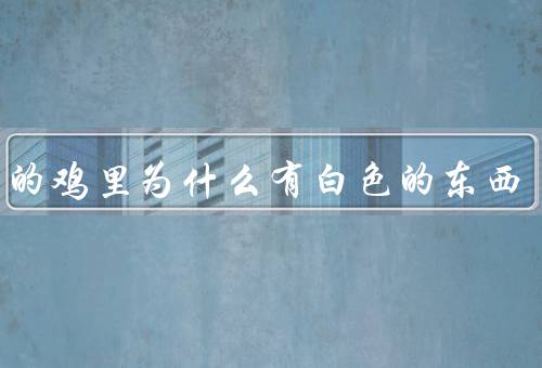 男生的鸡里为什么有白色的东西