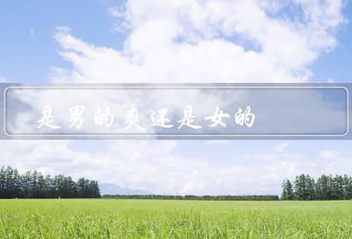 是男的爽还是女的